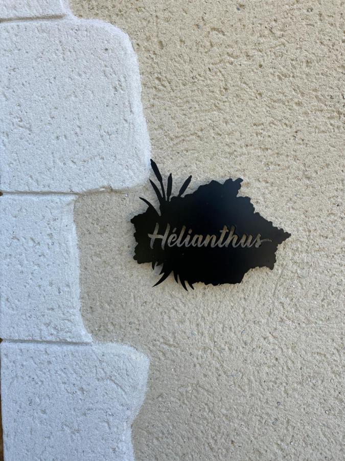 Chez Brunet Chambres D'Hotes Et Gite Lagraulet-du-Gers Zewnętrze zdjęcie